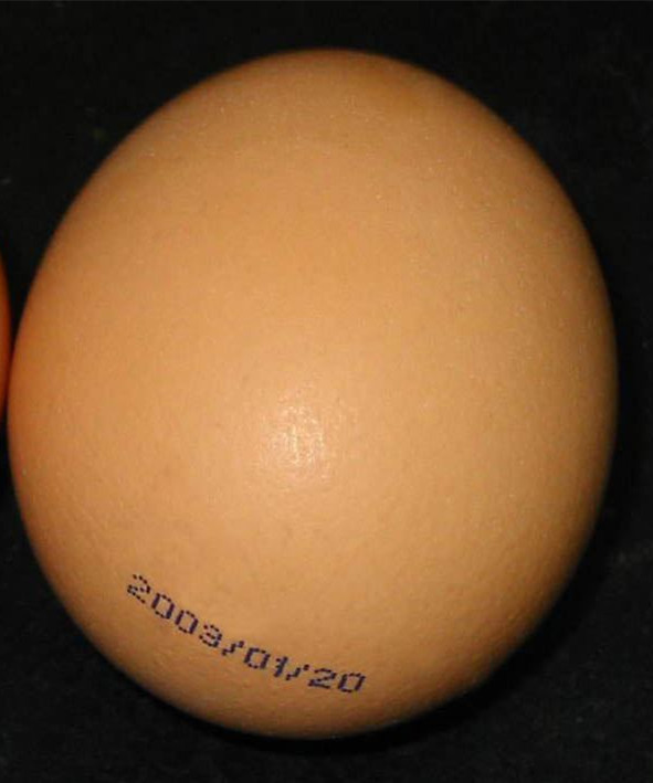 鸡蛋喷码样品2